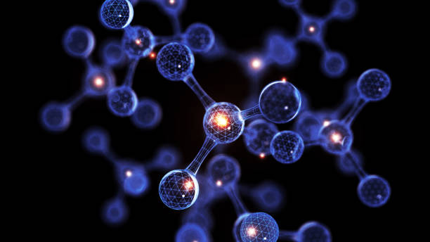 Kas daro vertėją ‘tikslų’: algoritmai, duomenų bazės ir mašininis mokymasis